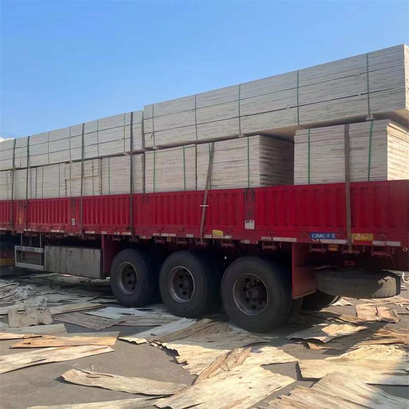 徐闻县探寻会东县进仓物流的多元运输奥秘